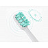Насадка на ультрозвуковую зубную щетку Xiaomi brush tooth normal