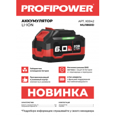 Аккумулятор X0042 ProfiPower