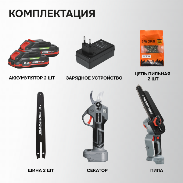 Аккумуляторный бесщеточный E0217 НАБОР 2в1 PROFIPOWER ProfiSet-2G20