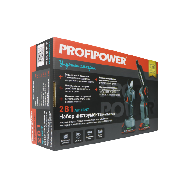 Аккумуляторный бесщеточный E0217 НАБОР 2в1 PROFIPOWER ProfiSet-2G20