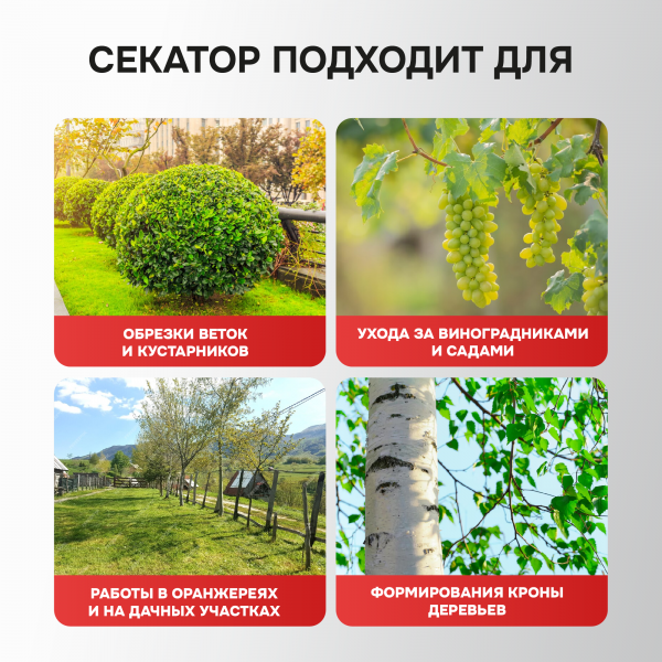 Аккумуляторный бесщеточный E0217 НАБОР 2в1 PROFIPOWER ProfiSet-2G20