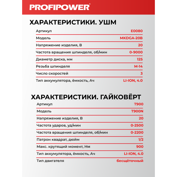 Аккумуляторный бесщеточный E0286 НАБОР 2в1 PROFIPOWER ProfiSet-2H20