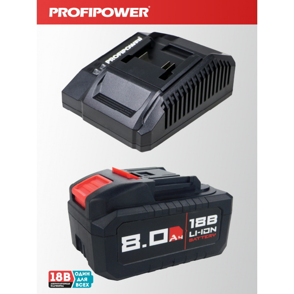 Аккумуляторный гайковерт бесщеточный ударный E0187 PROFIPOWER T-2000N