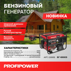 Бензиновый генератор G0005 PROFIPOWER БГ-6500Э