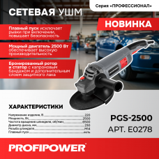 Сетевая УШМ (болгарка) E0278 PROFIPOWER PGS-2500