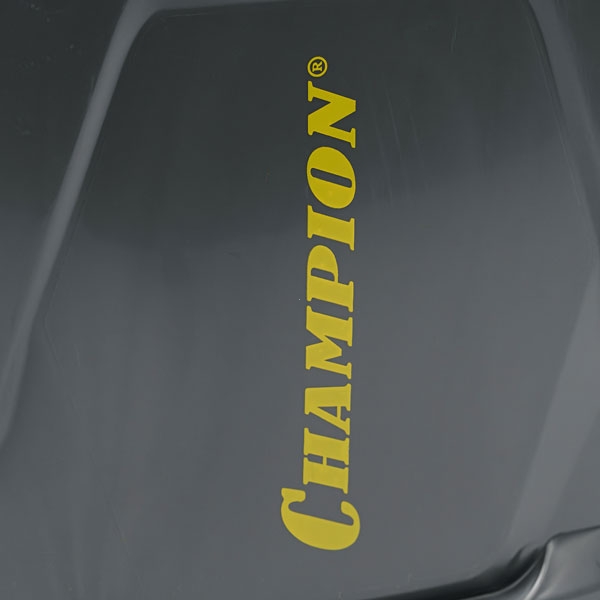 CHAMPION SA10 Опрыскиватель аккумуляторный, АС акк., бак 10л, 12В, 8Ач, 3,1 л/мин