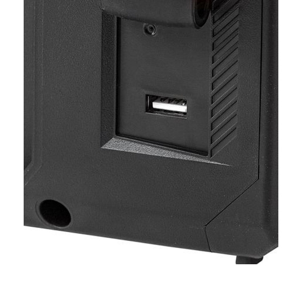 PIT расходник PJS20H-10A Аккумуляторное bluetooth-радио solo, 20 В, 85,7-108 МГц, 2х10 Вт, usb 2,0, выход 5 В, 2,1 А