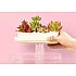 Аквариум Xiaomi Mijia Geometry Mini Lazy Fish Tank USB