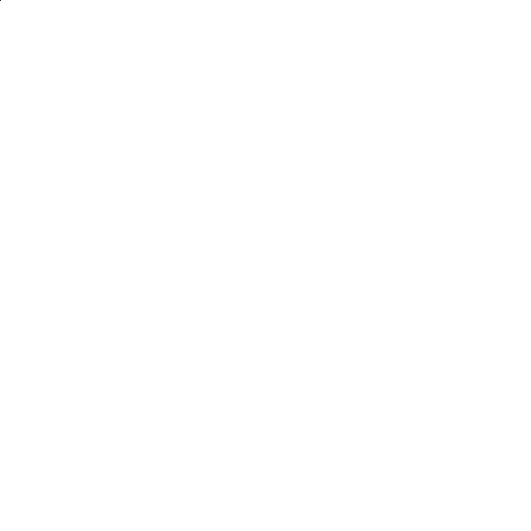 Пила цепная мини PARTISAN AS-2147